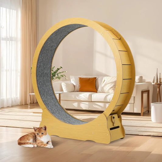 Cat Indoor Exercise Running Wheel For Home Fitness