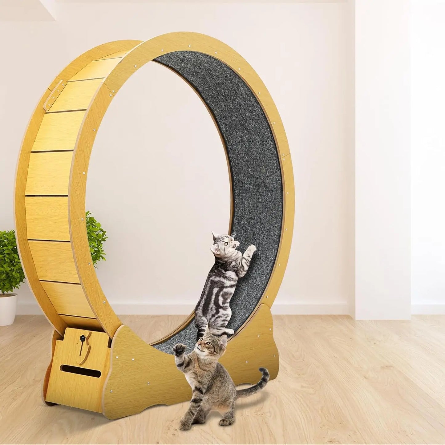 Cat Indoor Exercise Running Wheel For Home Fitness
