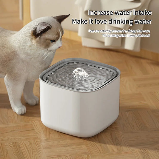 Cat Water Fountain Auto Recirculating USB Quiet Dispenser